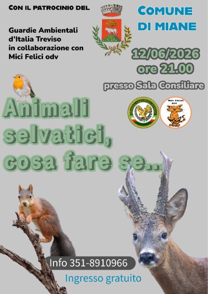 ANIMALI SELVATICI, COSA FARE SE...