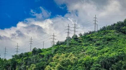 ABBATTIMENTO ALBERI, DERAMIFICAZIONI E TAGLIO MACCHIA IN PROSSIMITA' DI LINEE ELETTRICHE ABBATTIMENTO ALBERI, DERAMIFICAZIONI E TAGLIO MACCHIA IN PROSSIMITA' DI LINEE ELETTRICHE