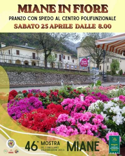 mianeinfiore2026