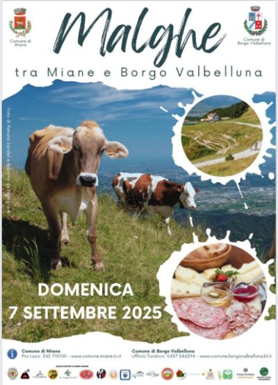 locandina malghe