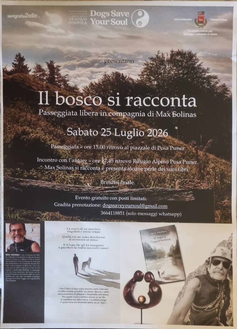 locandina25luglio_maxsolinas