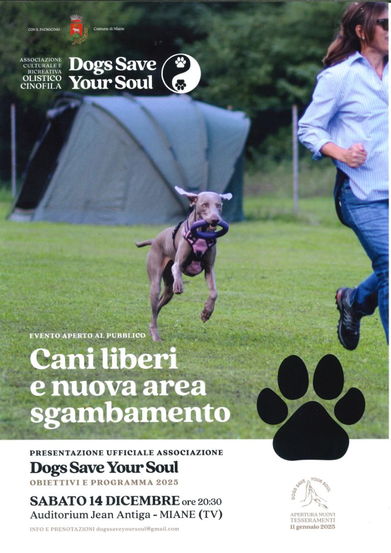 dogs