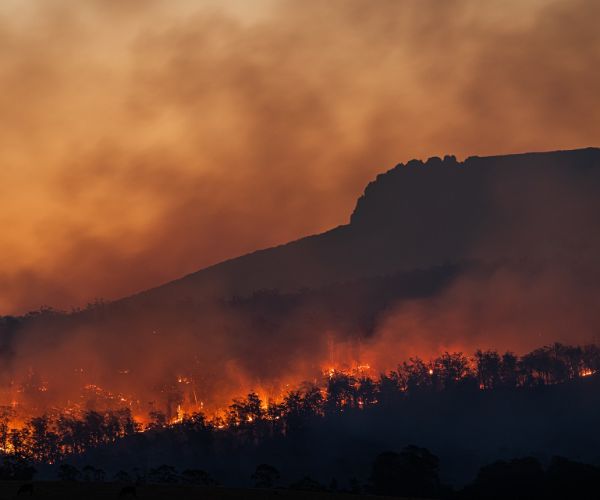 incendi in natura 